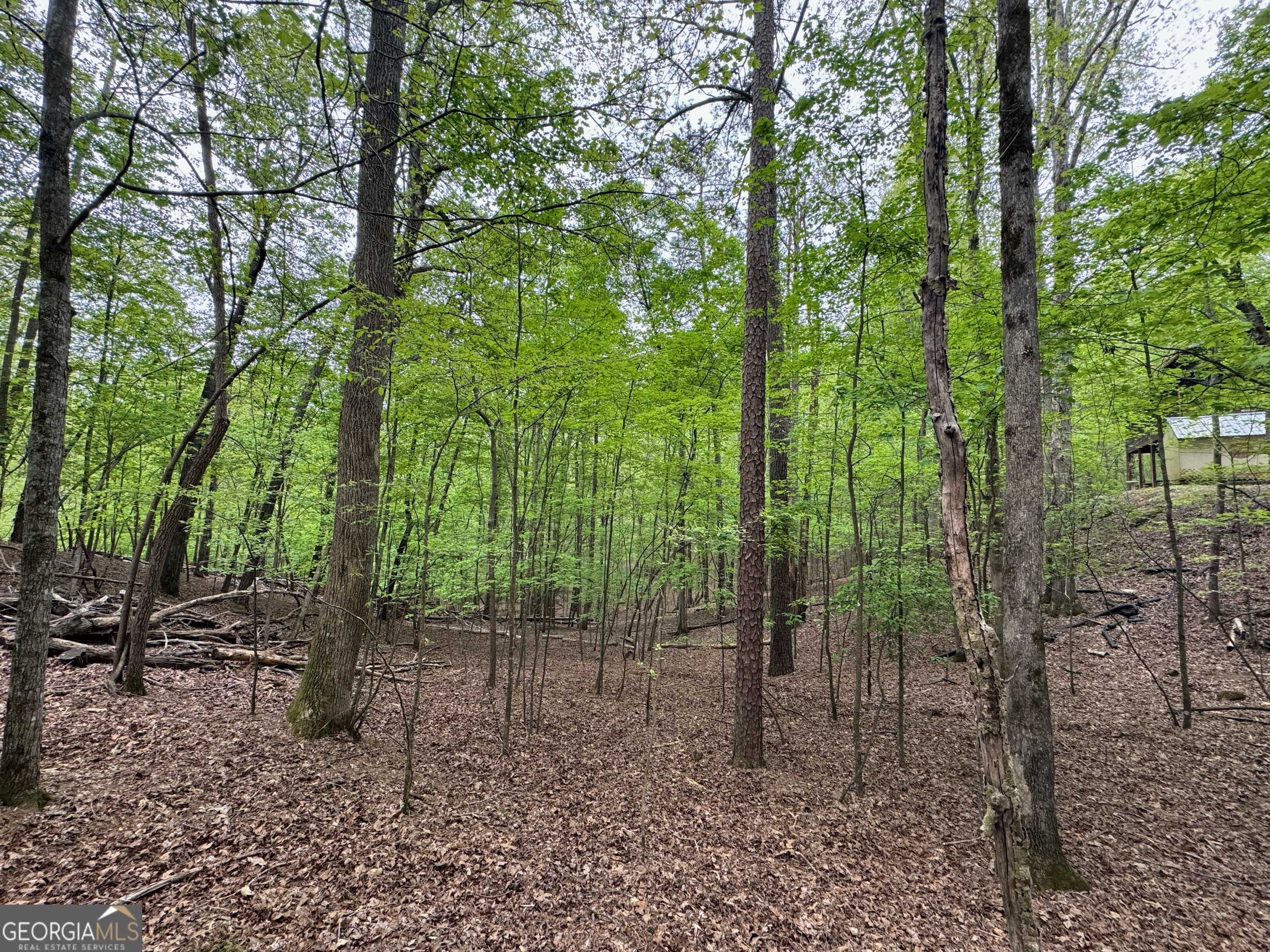 Ellijay, GA 30540,LOT 1833 Newport