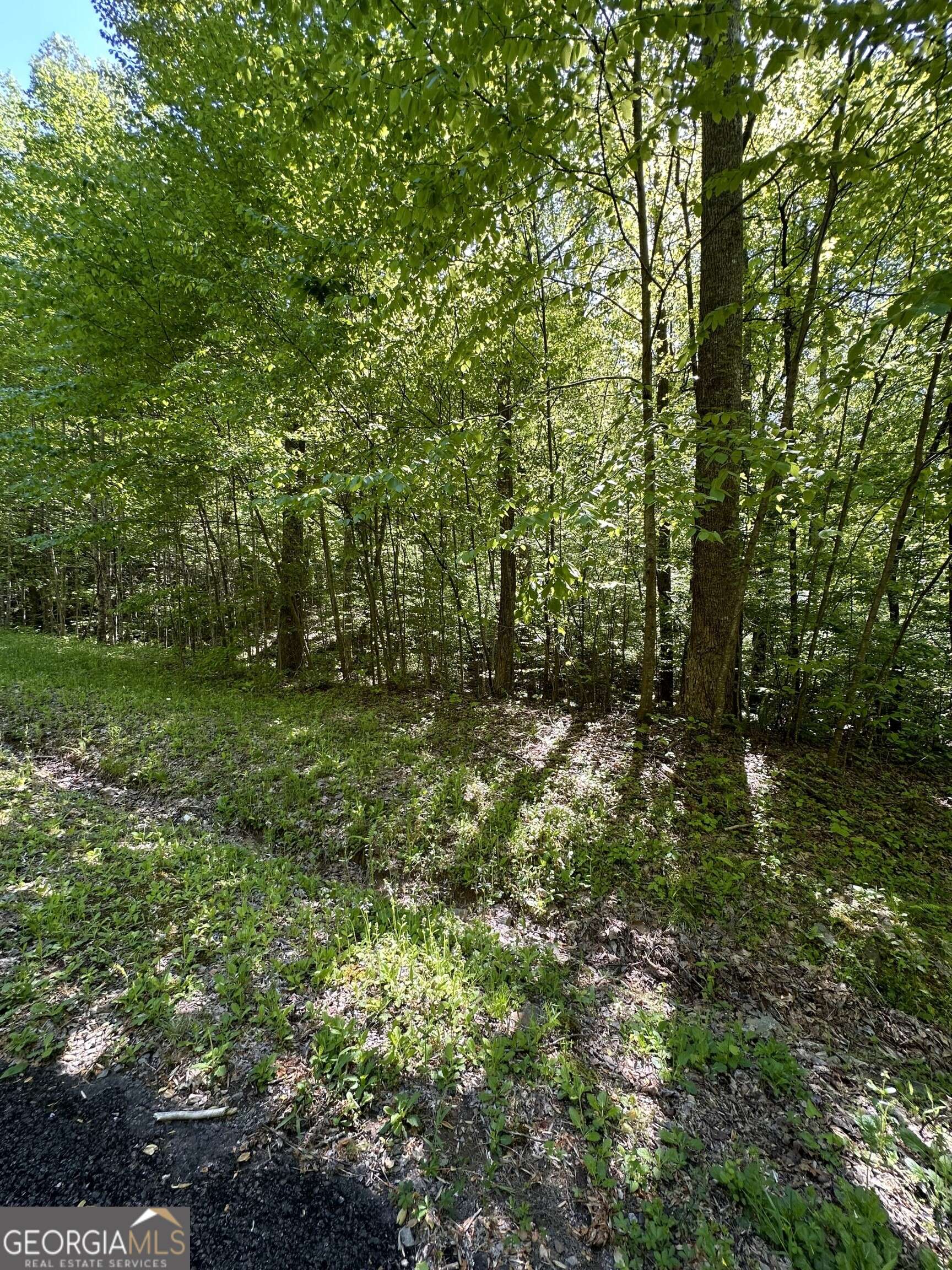 Ellijay, GA 30536,LOT 25 Goldmine Gap