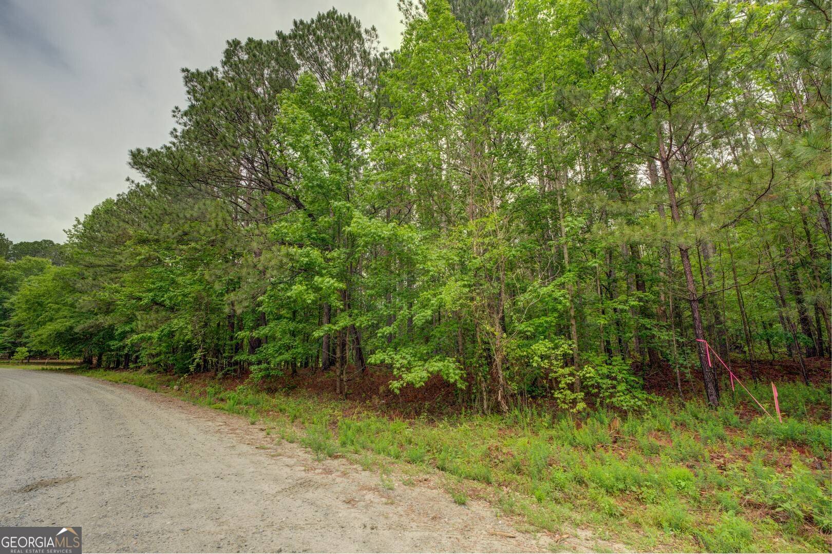 Shady Dale, GA 31085,0 Jeffries Road Tract B 33.11