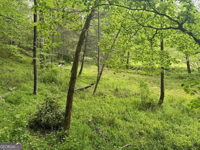 Ellijay, GA 30536,LOT 9 Clear Creek Preserve