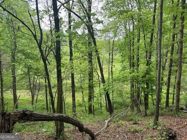 Ellijay, GA 30536,LOT 10 Clear Creek Preserve