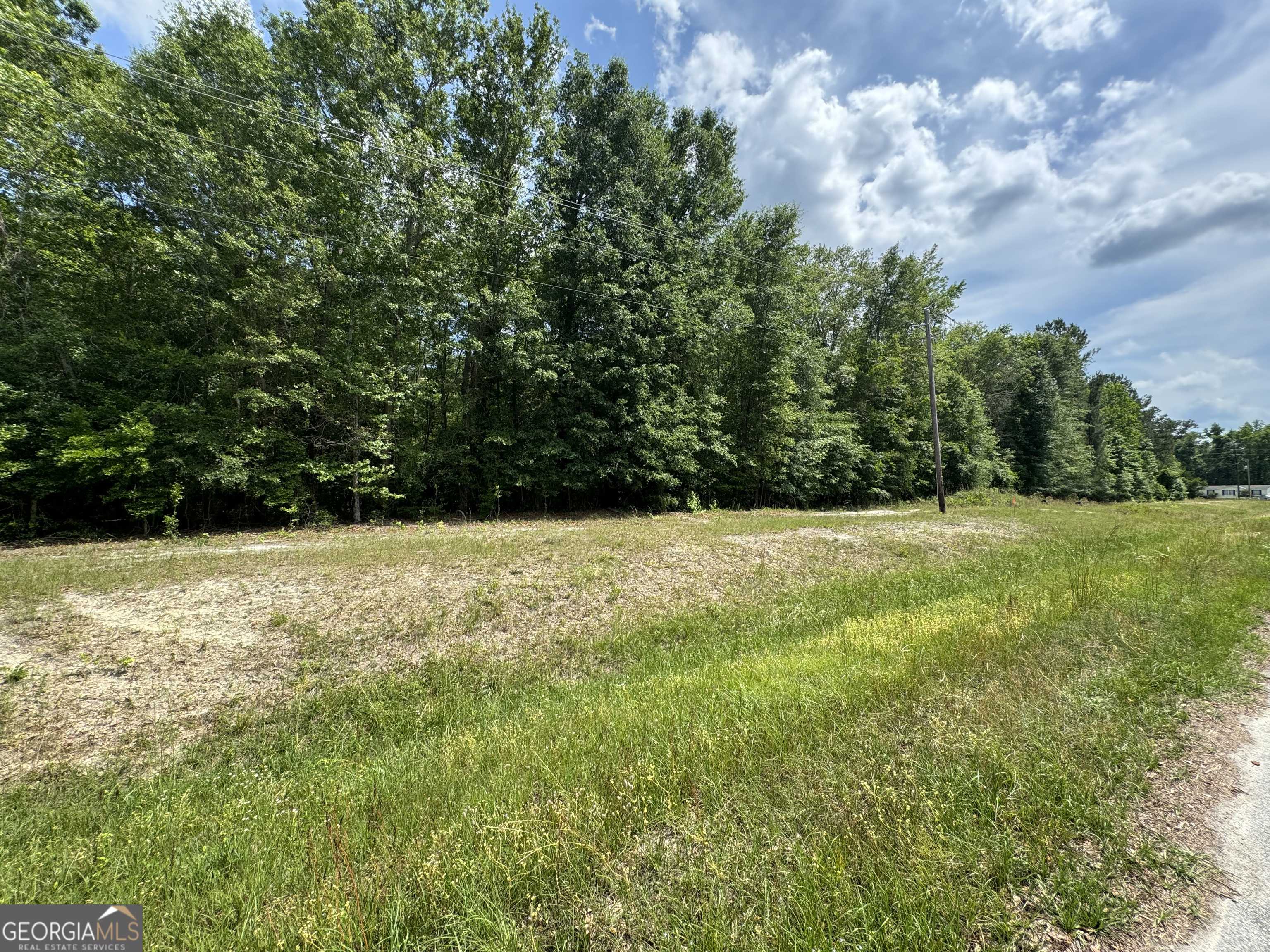 Clyo, GA 31303,130 Goldkist RD