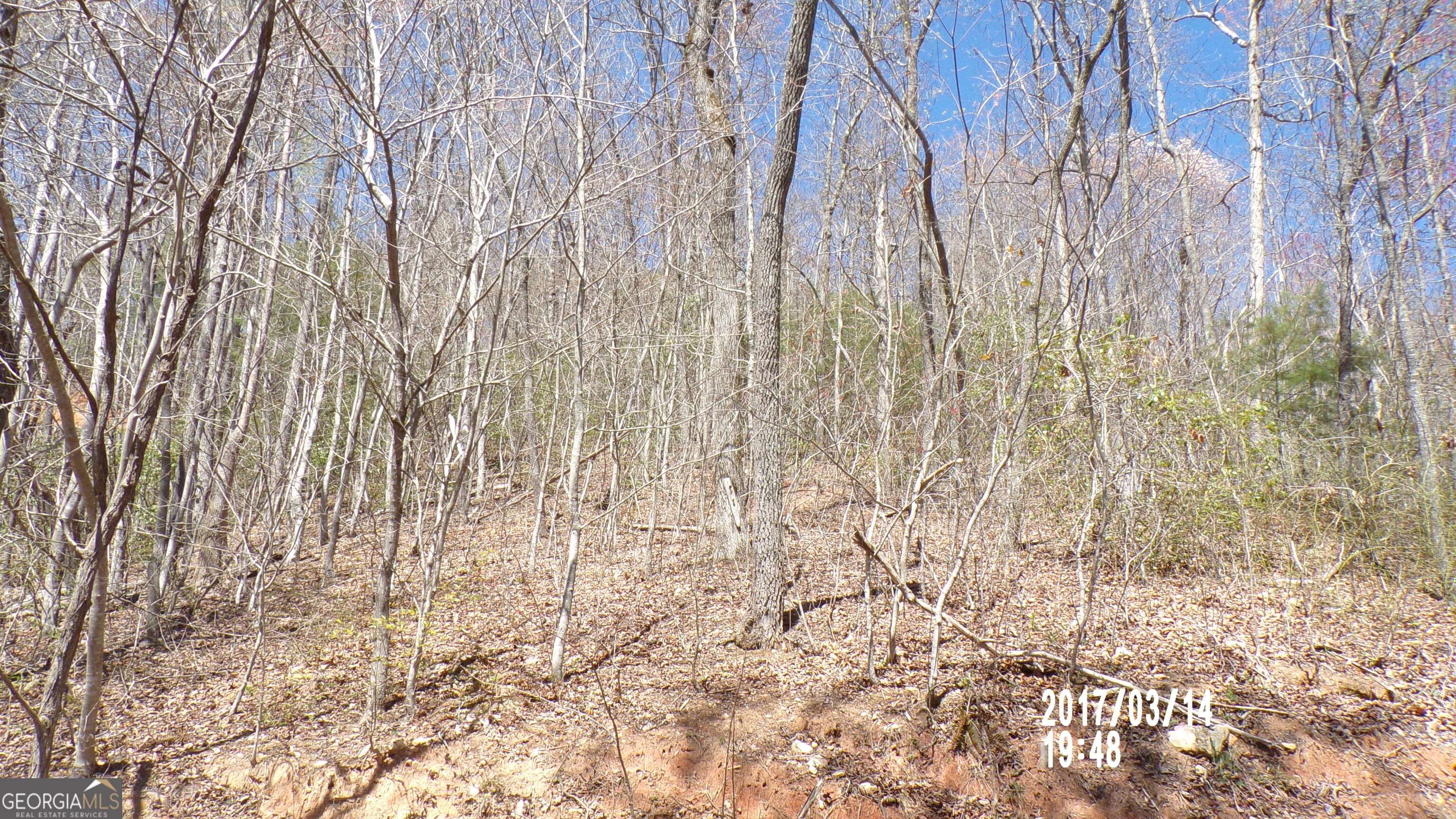 Hayesville, NC 28904,#3 Strawberry Fields