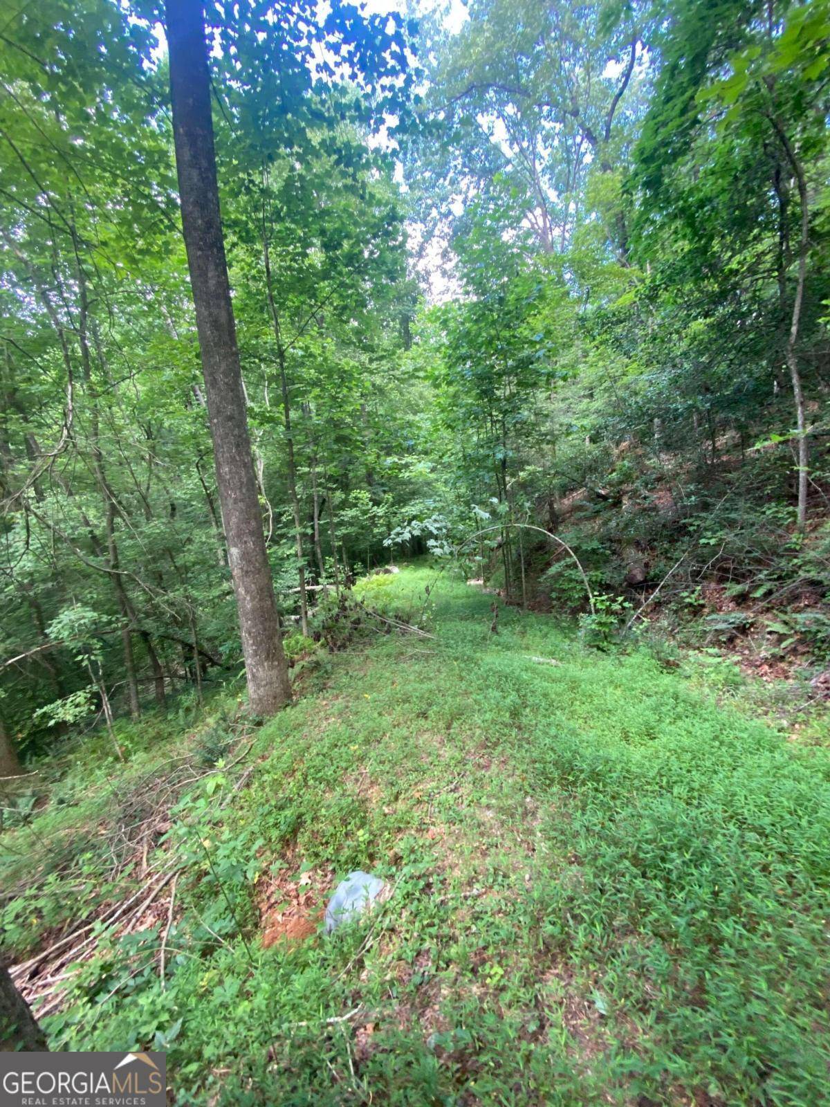 Ellijay, GA 30540,0 Hiawassee