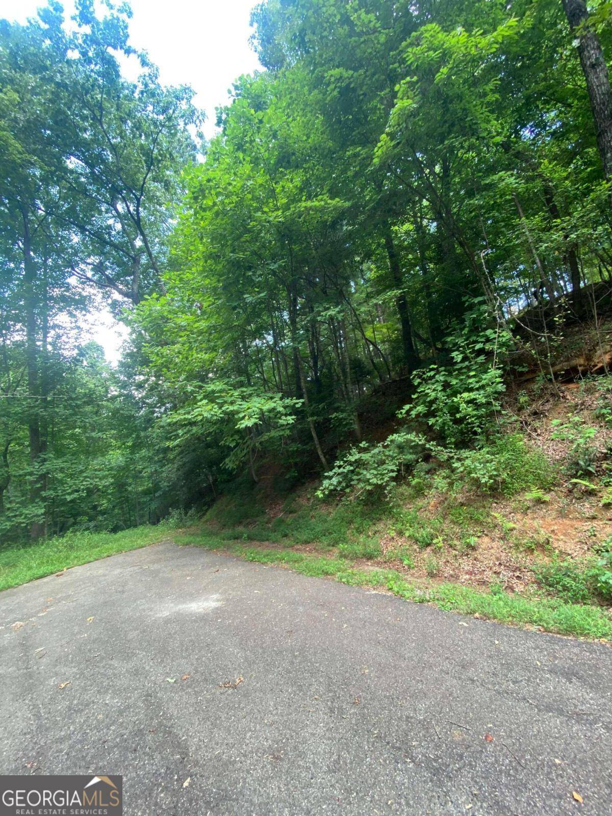 Ellijay, GA 30540,0 Hiawassee