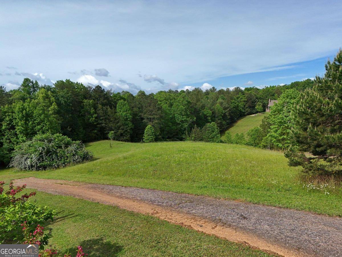 Morganton, GA 30560,8/19 Pond Overlook (Lots 18/19)