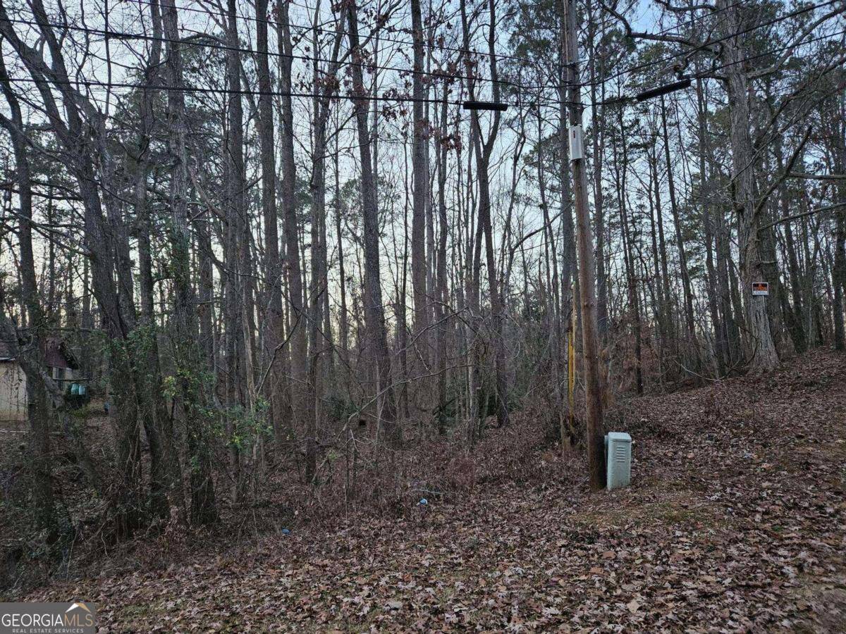 Barnesville, GA 30204,0 Lanette CIR