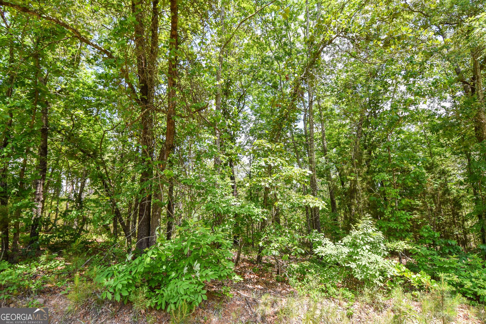 Thomaston, GA 30286,0 Skelton RD #LOT 12