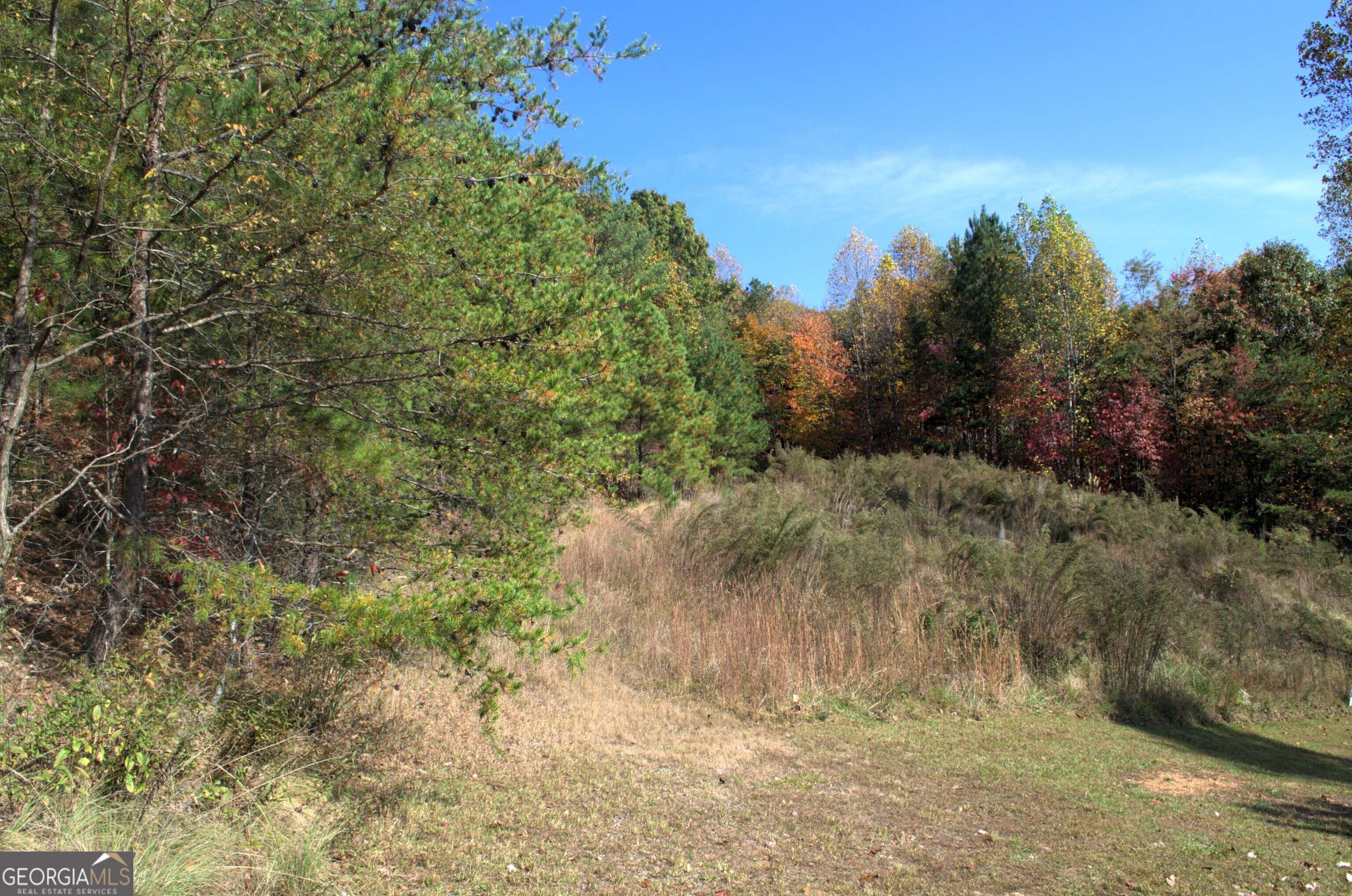 Blairsville, GA 30512,LOT 16 Summit