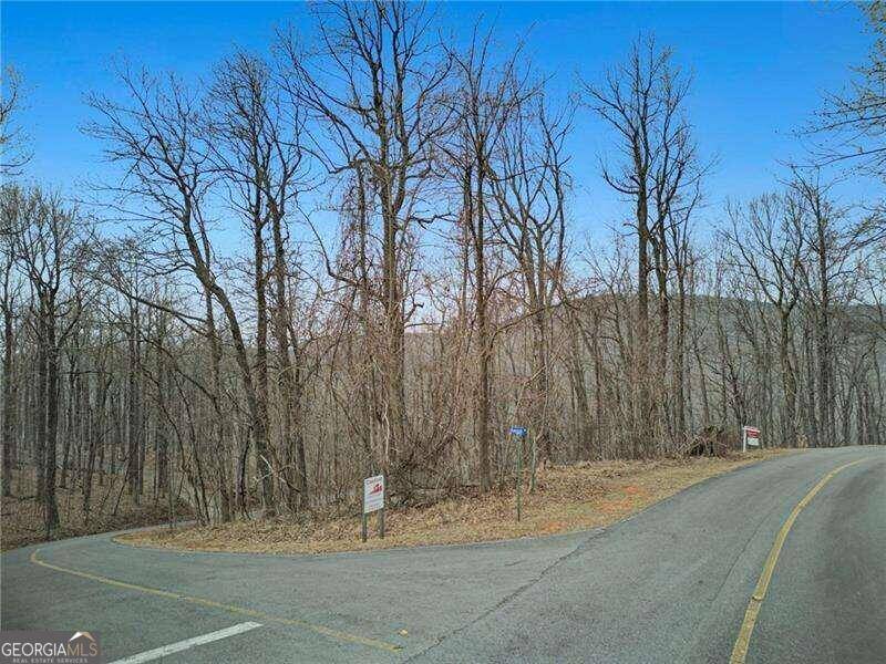 Jasper, GA 30143,0 High Cliff Rd Lot 55/56