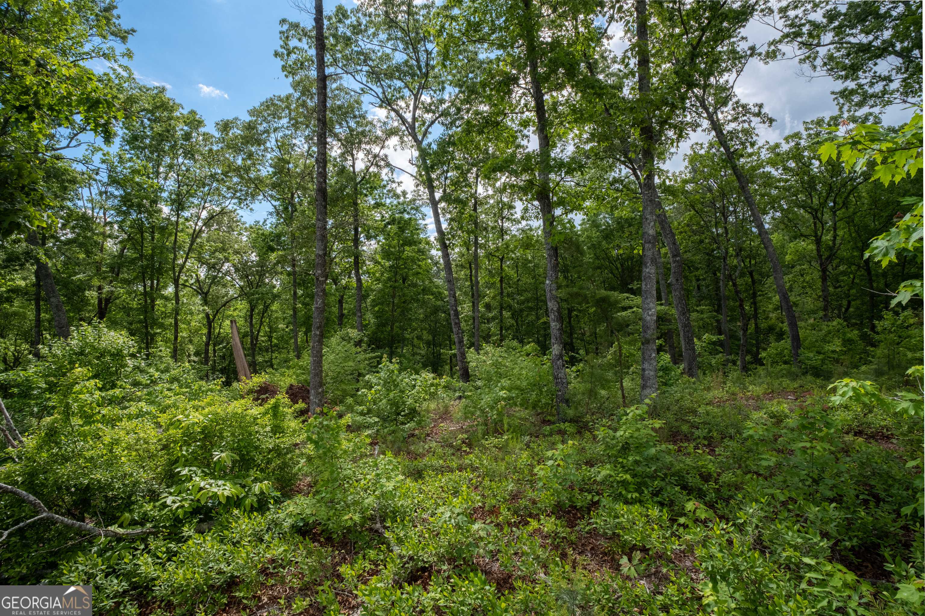 Ellijay, GA 30540,0 Sundown TRL #LOT 135