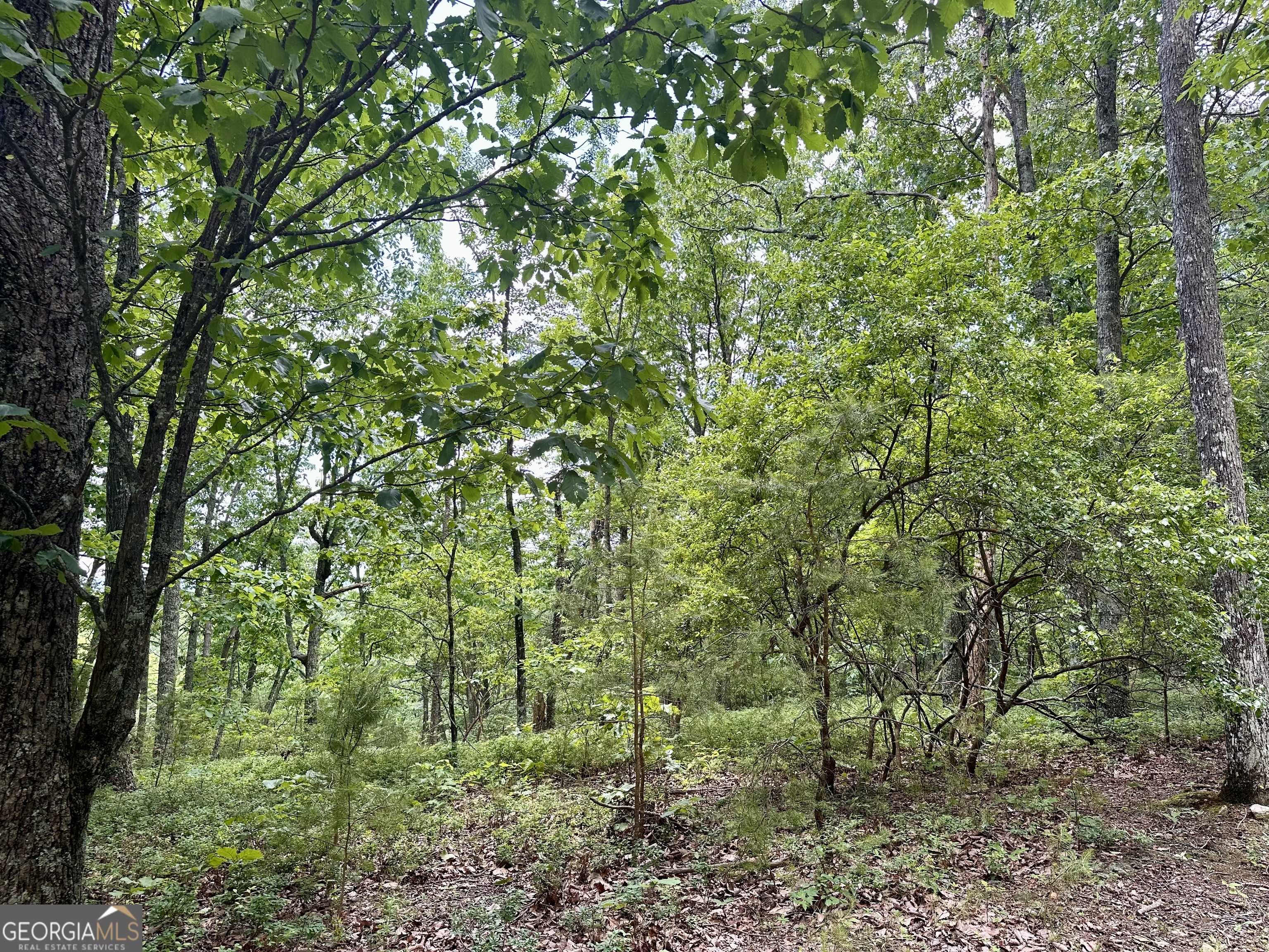 Ranger, GA 30734,1469 Hanna DR