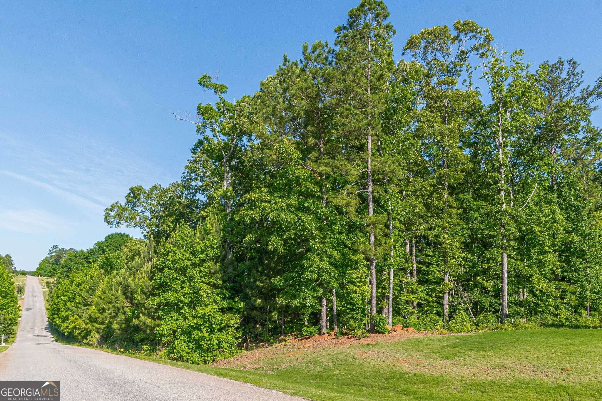 Luthersville, GA 30251,629 Hunter Welch Pkwy #LOT 133