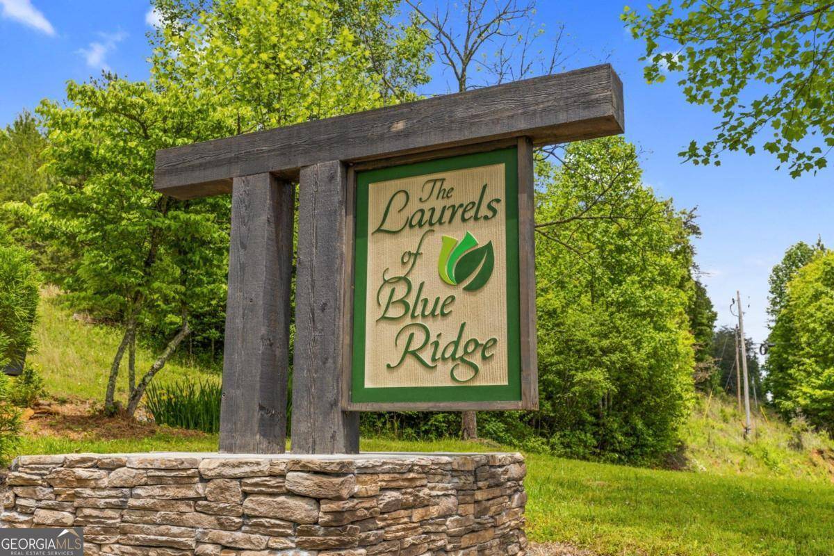Mineral Bluff, GA 30559,LOT 23 Mountain Laurel RDG #23