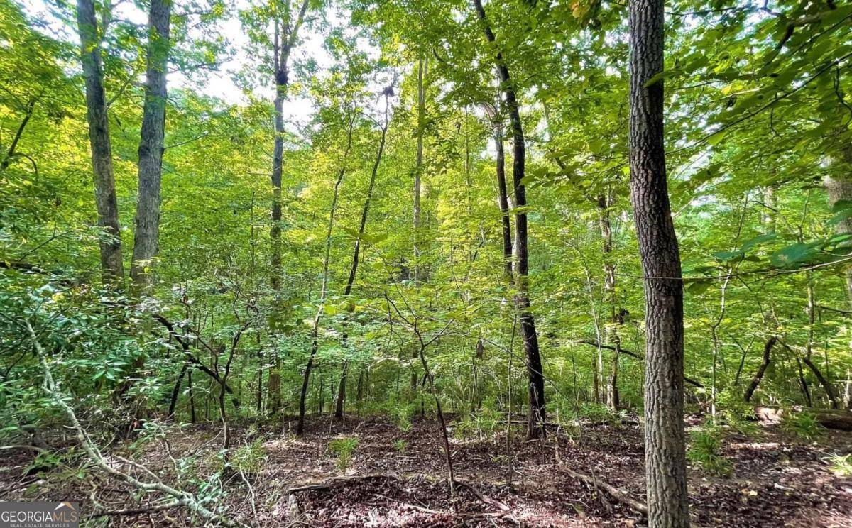 Ellijay, GA 30540,LOT 1185 Maize