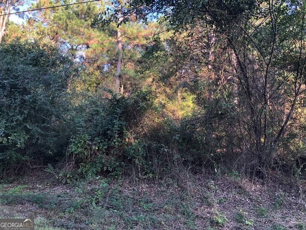 Dublin, GA 31021,618 Gordon Edwards RD