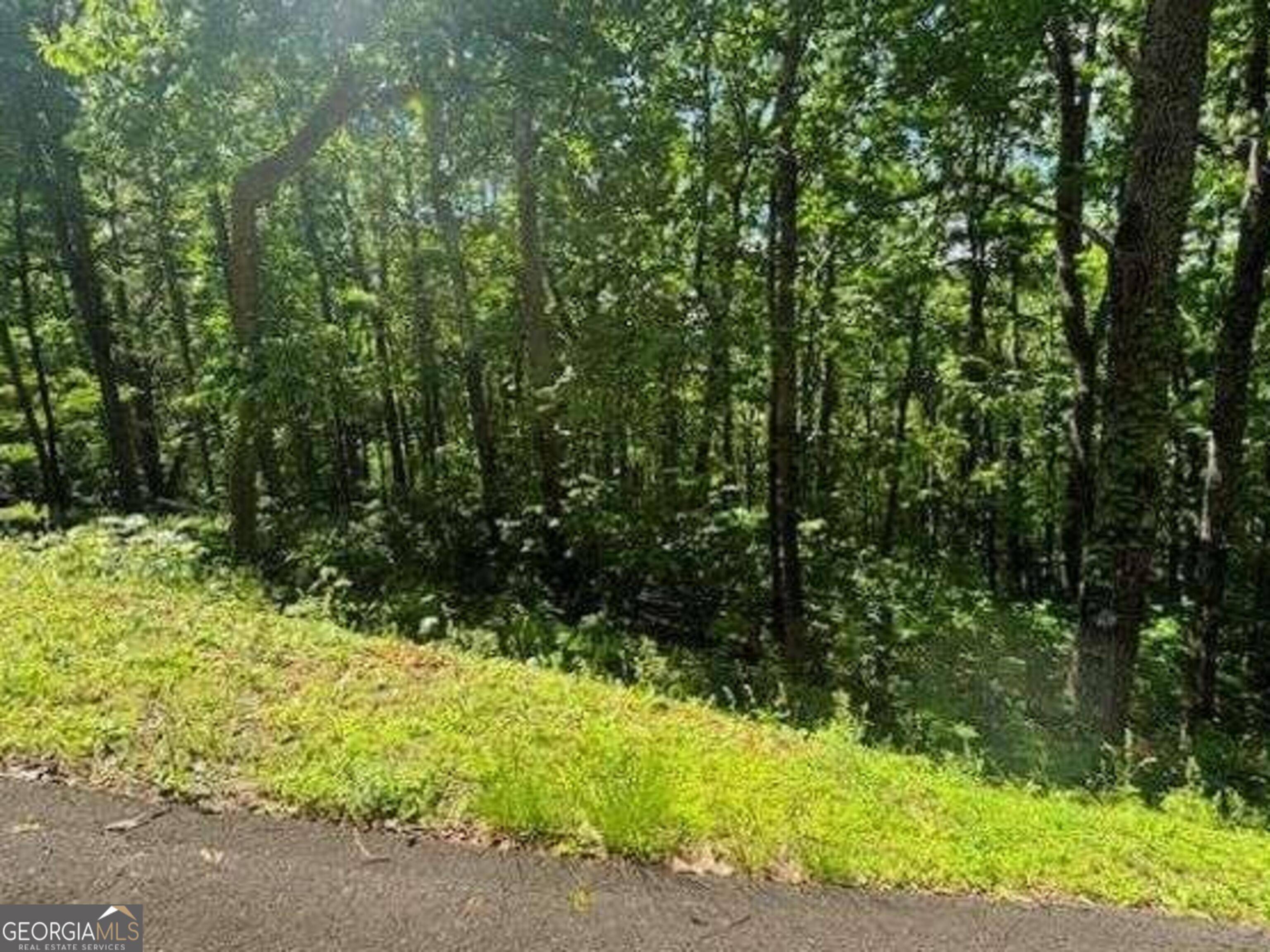 Young Harris, GA 30582,LOT 90 Rocky Knob