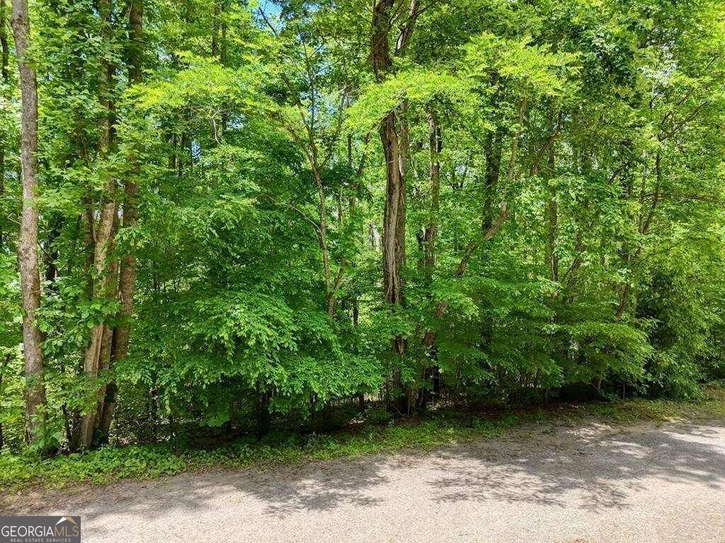 Hayesville, NC 28904,LOT 96 Shiloh DR