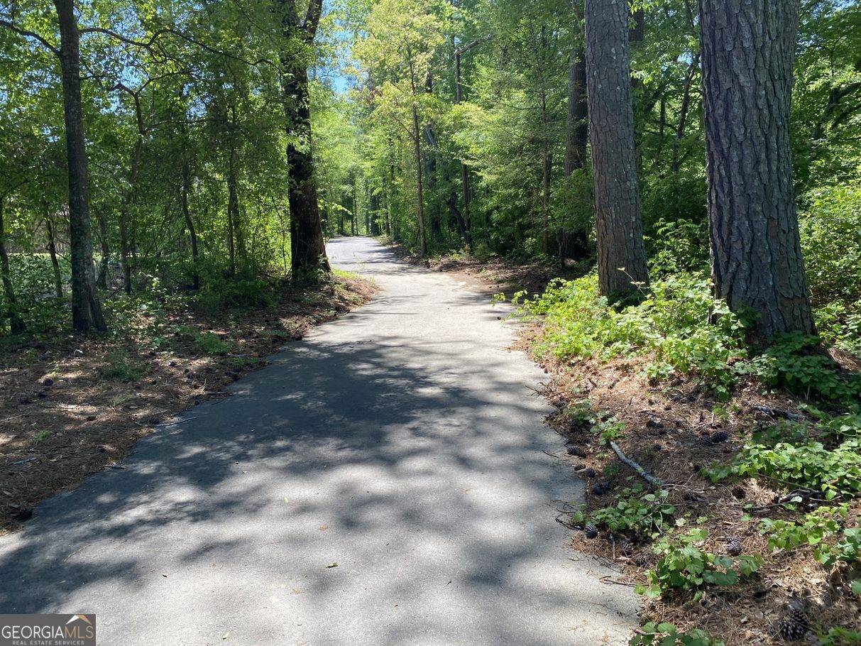 Loganville, GA 30052,109, 127 Ozora RD