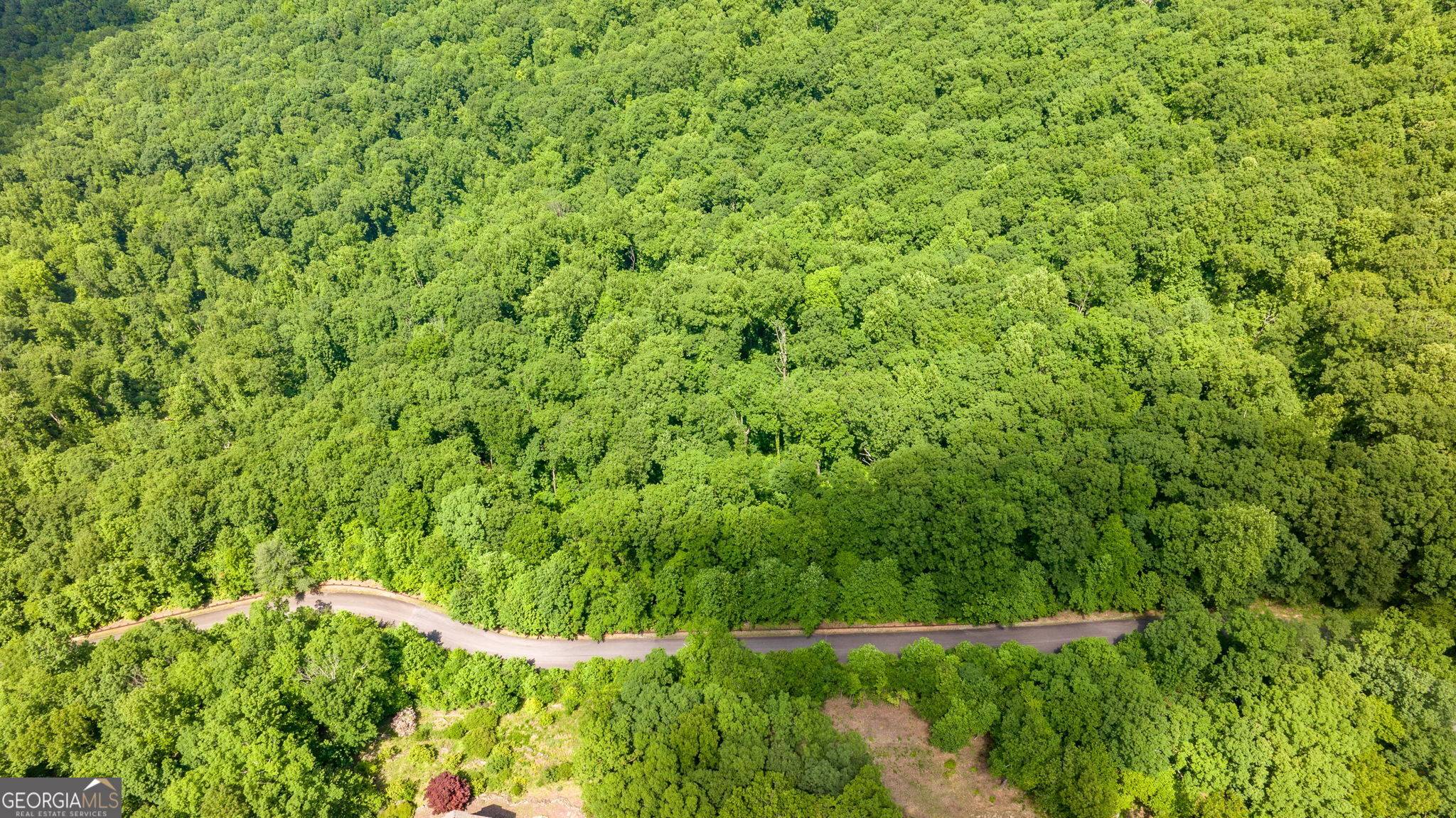 Cleveland, GA 30528,0 Mountainside DR