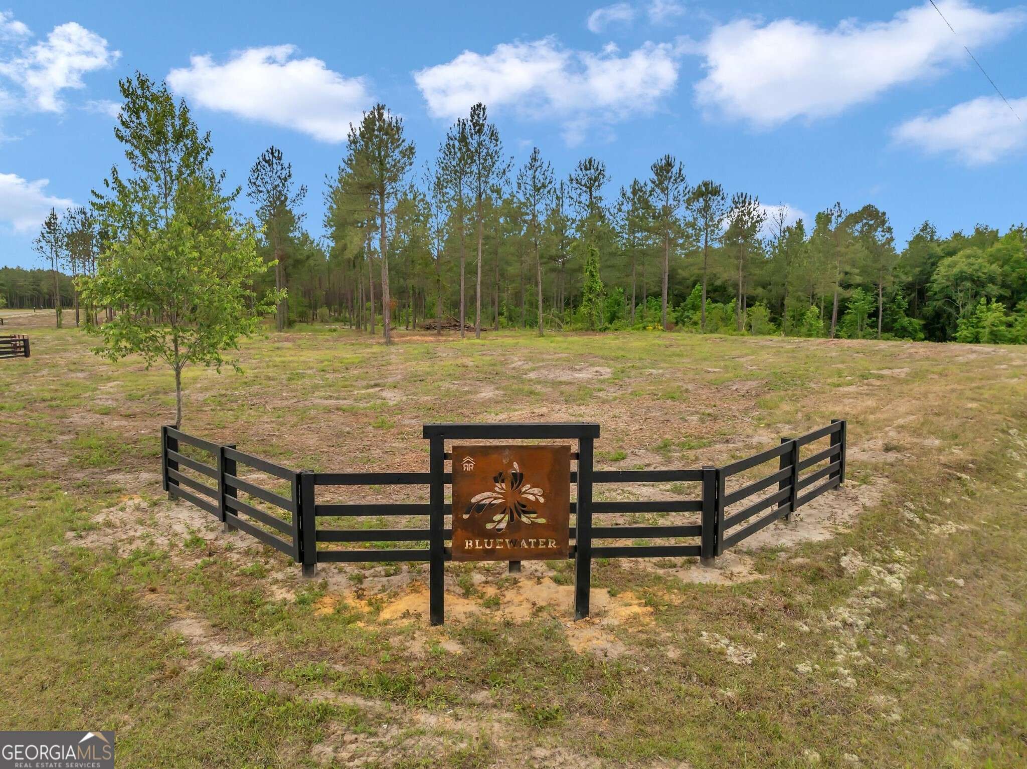 Dexter, GA 31019,0 Dewey Thomas RD #LOT 9