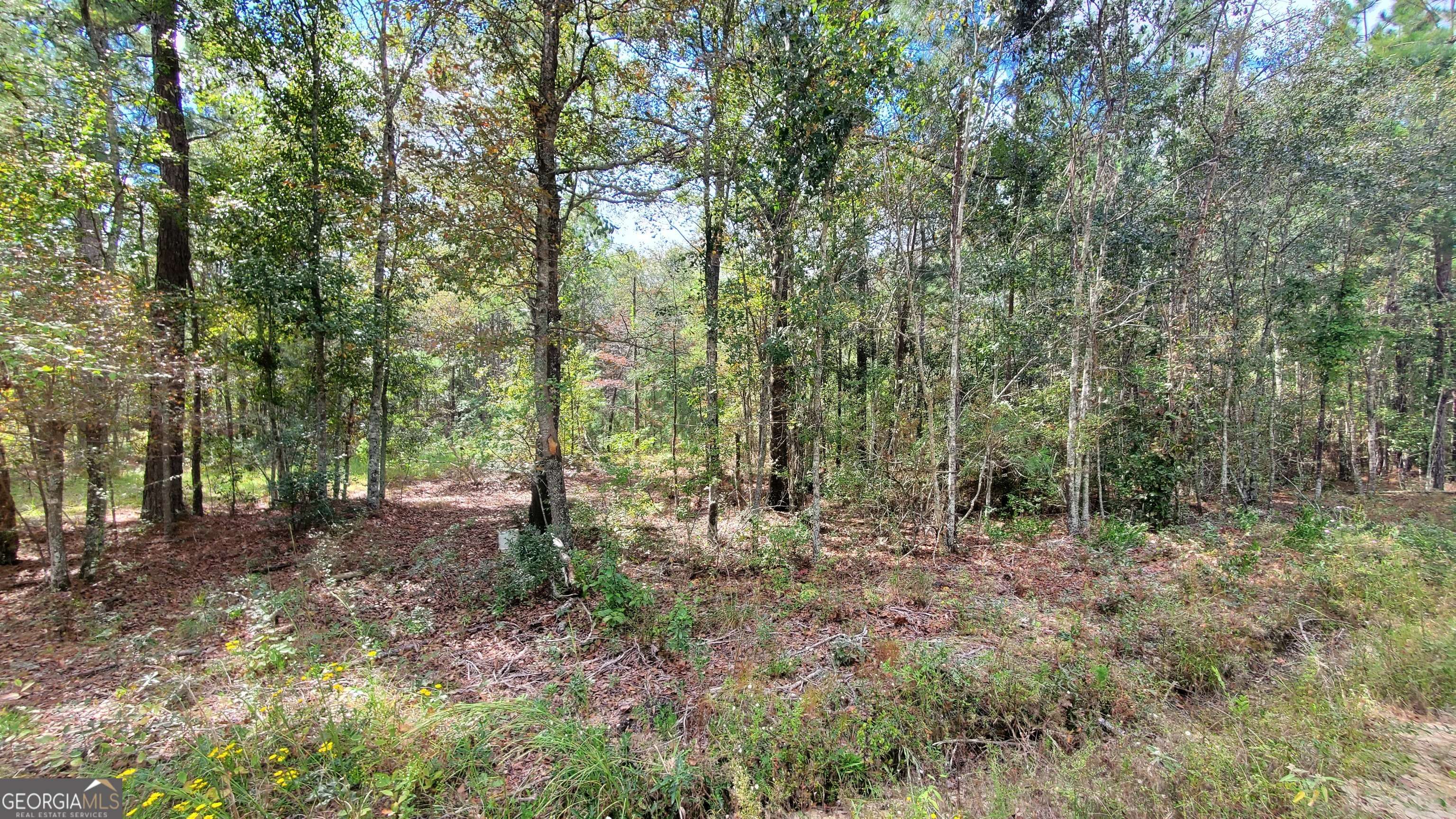 Lyons, GA 30436,591 Victory CIR