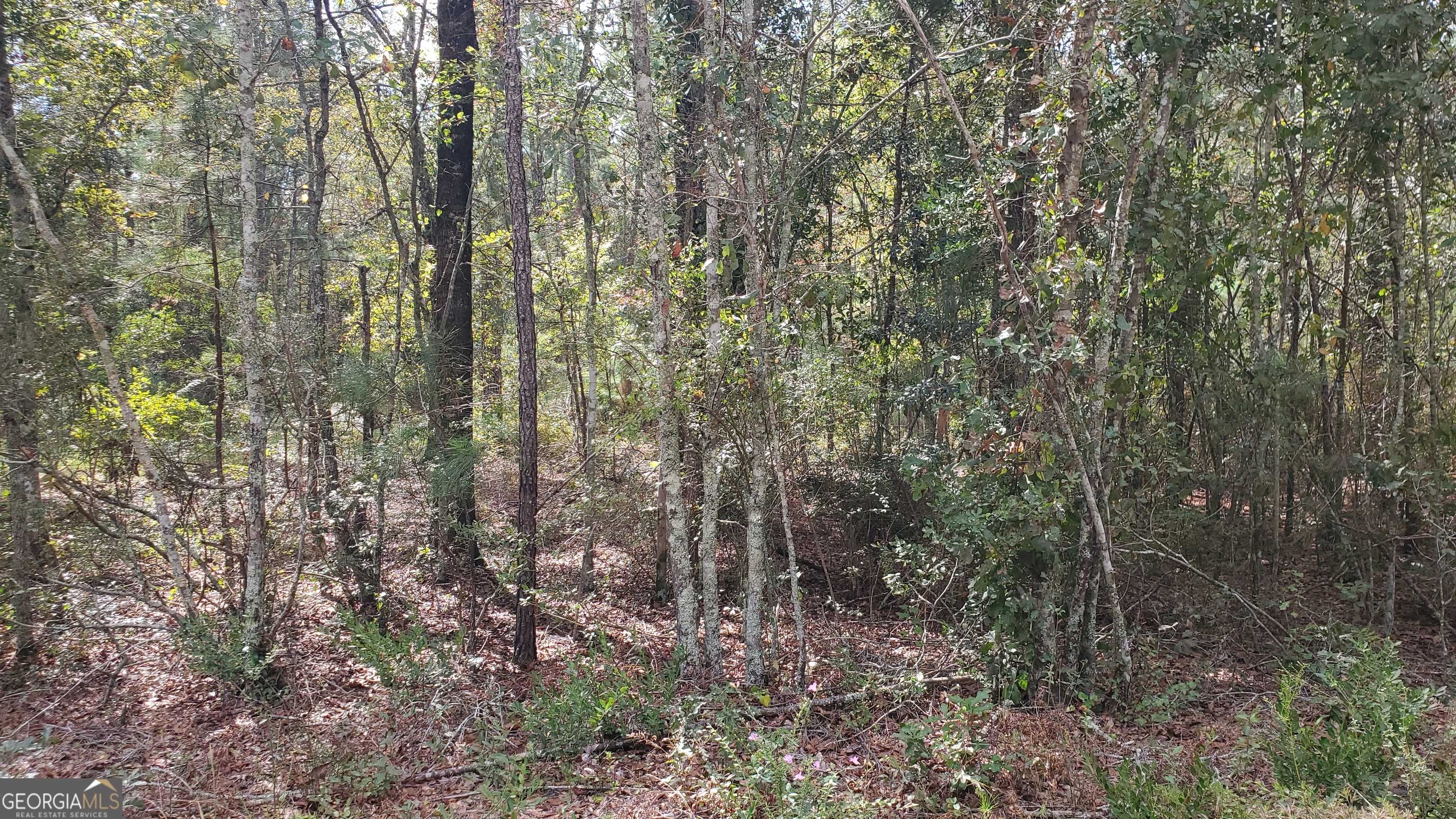 Lyons, GA 30436,591 Victory CIR