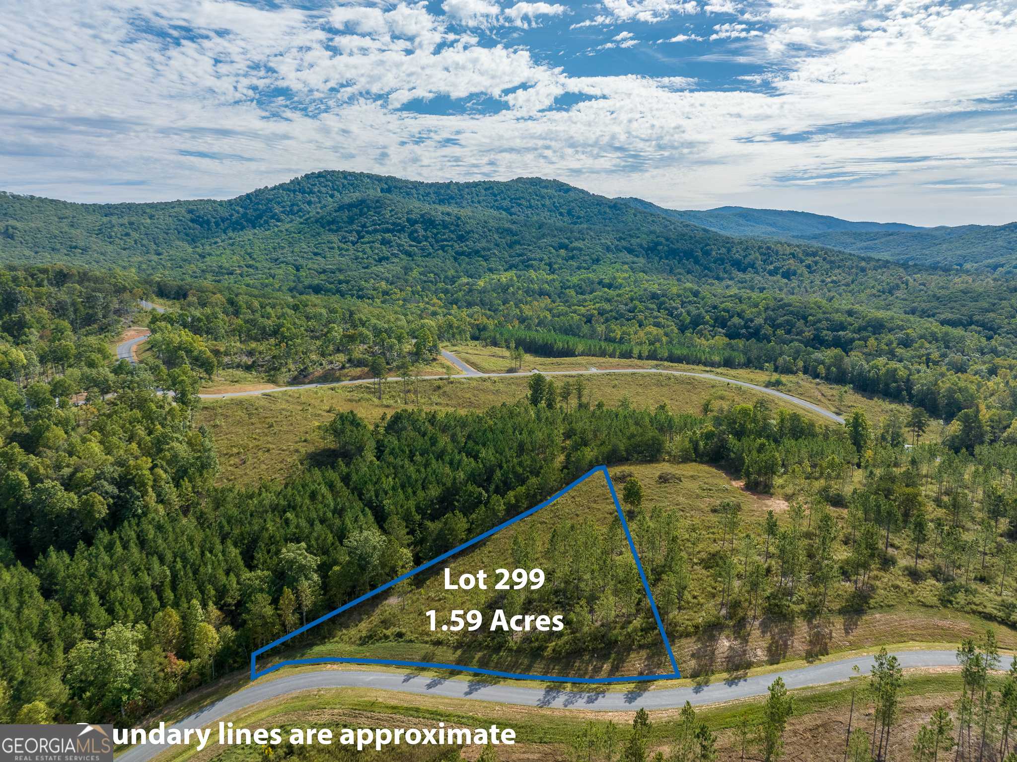 Talking Rock, GA 30175,LOT 299 Twisted Oak Rd