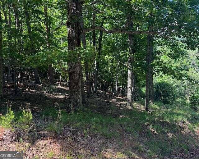 Jasper, GA 30143,1121 Oglethorpe Mountain