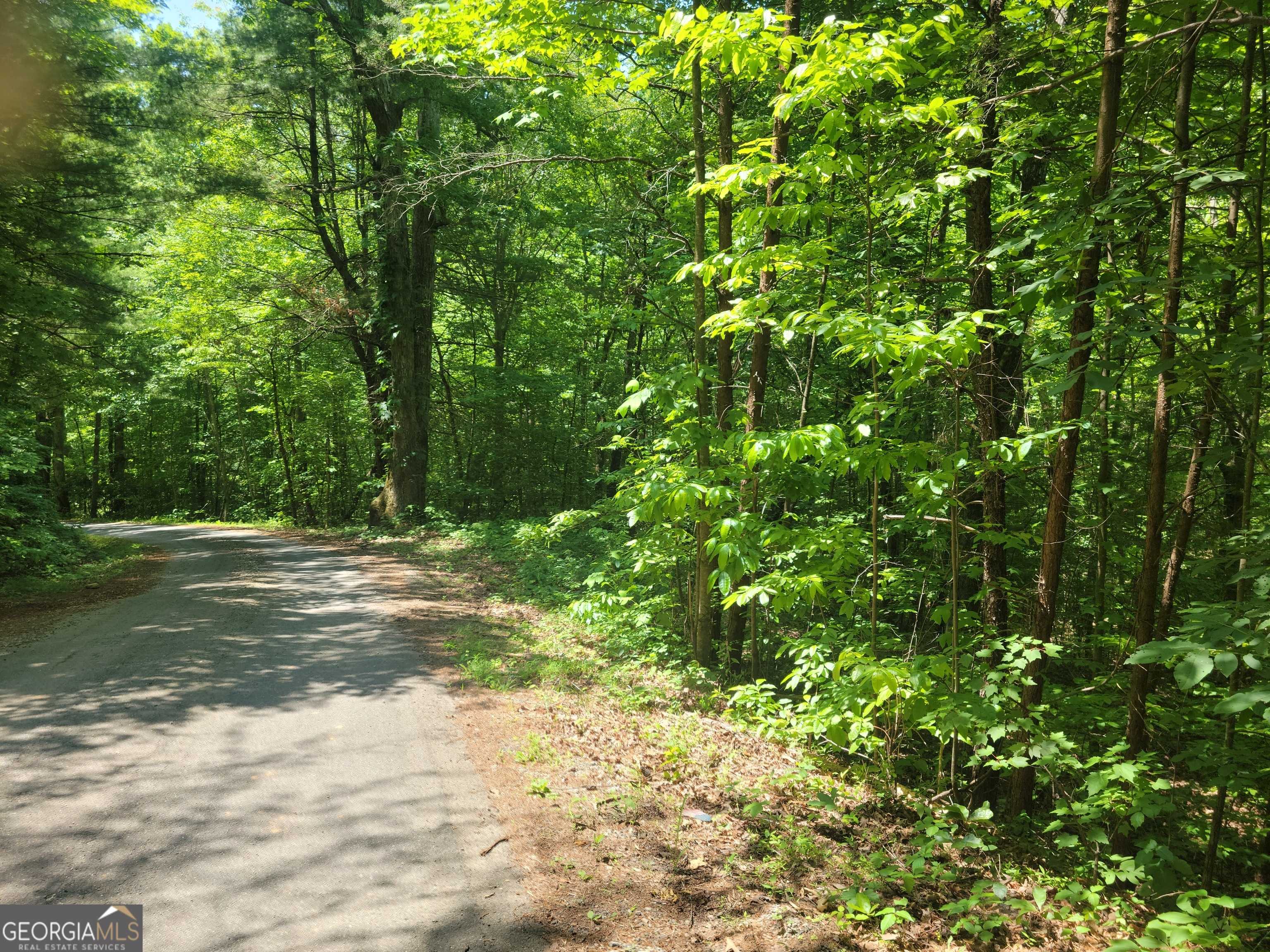 Young Harris, GA 30582,LOT 11,12 Mountain Laurel Estates