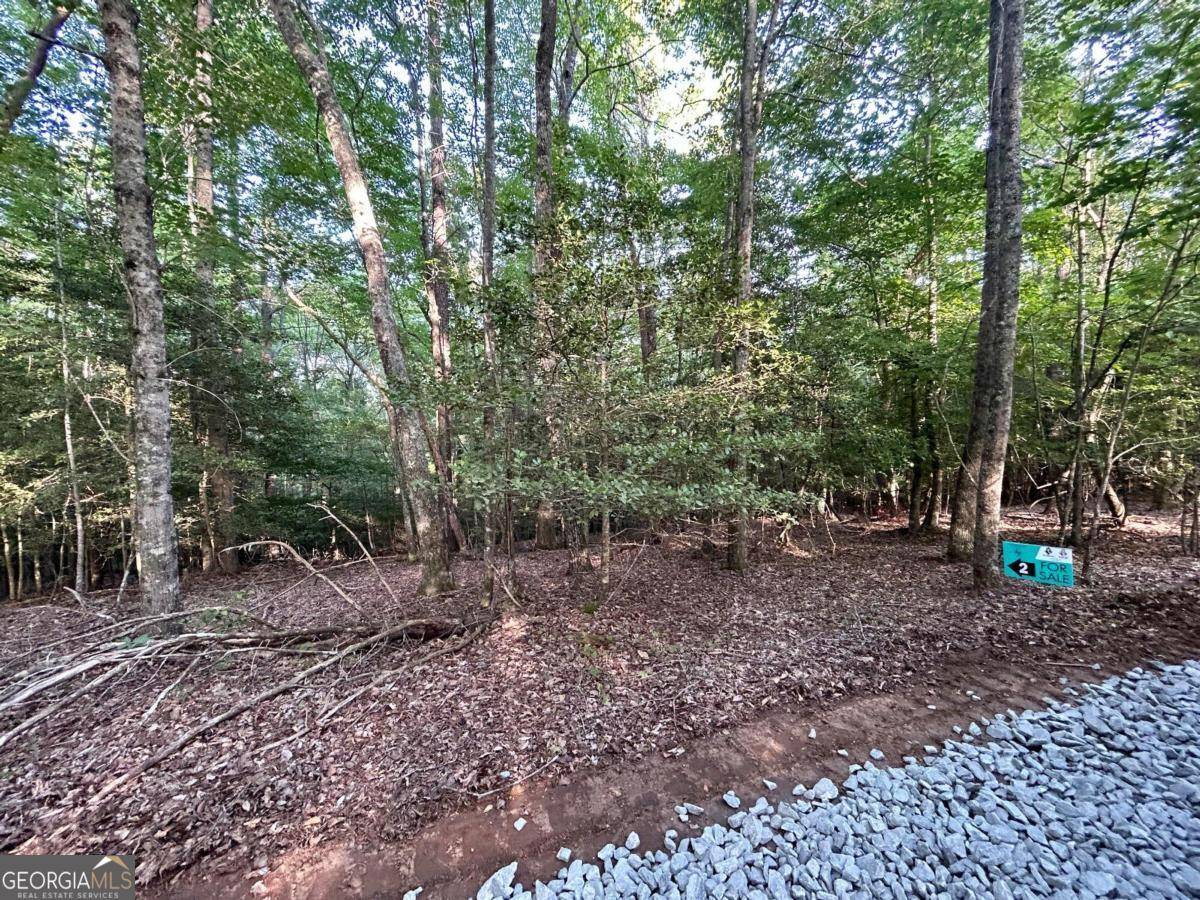 Dahlonega, GA 30533,02 Kate Road