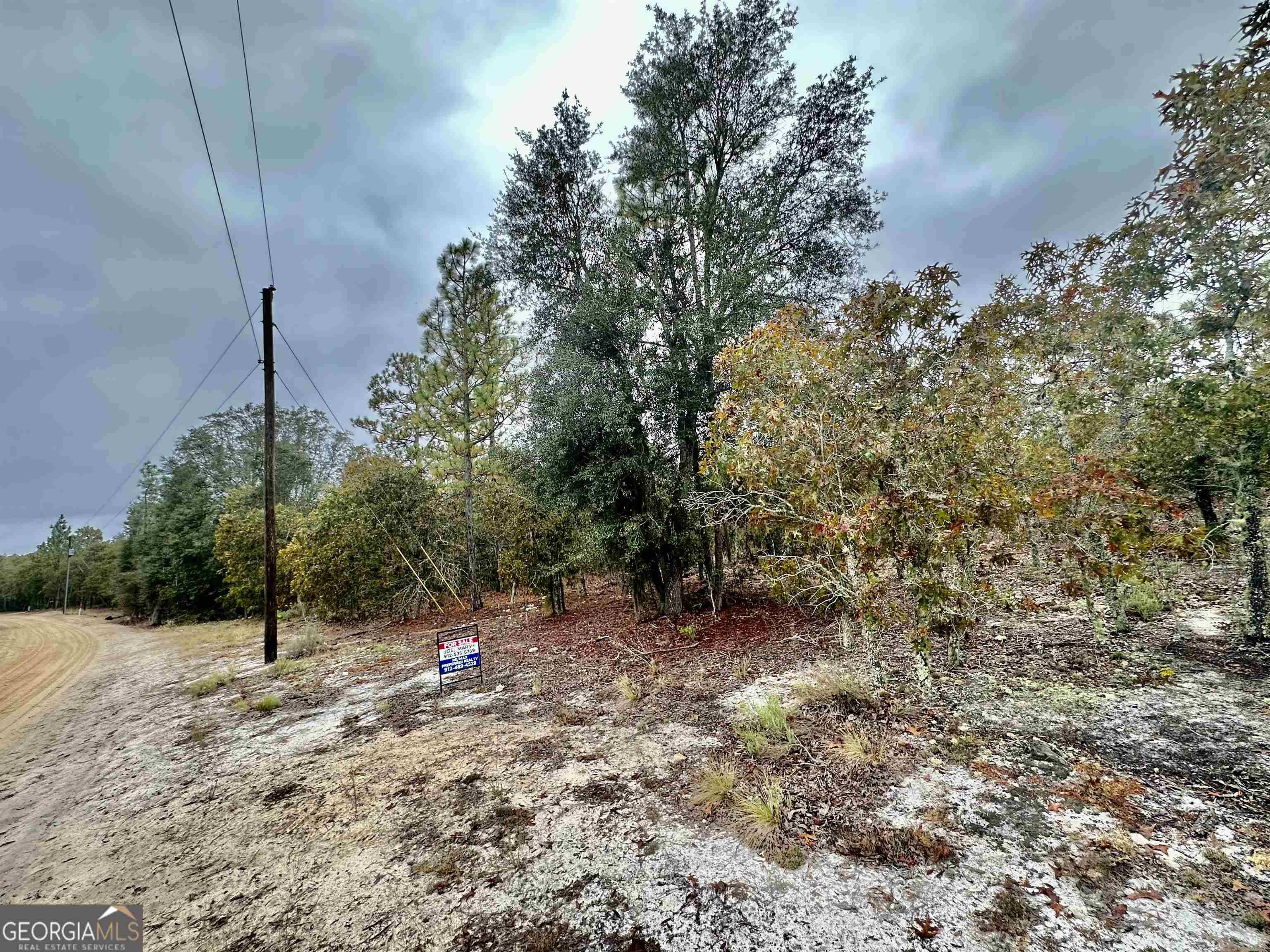 Cobbtown, GA 30420,0 Coleman Bridge RD