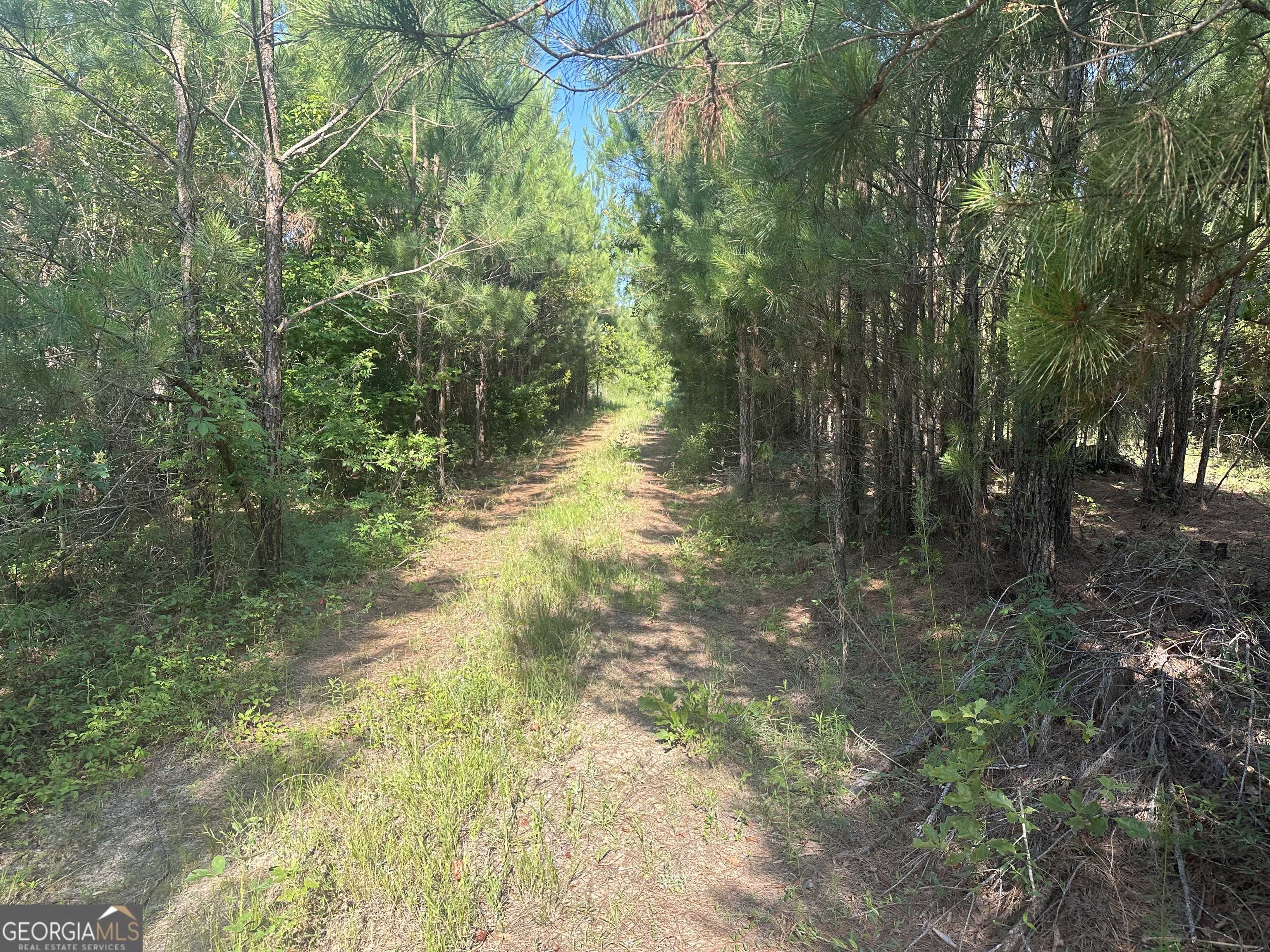 Sylvania, GA 30467,0 Indian Trail RD