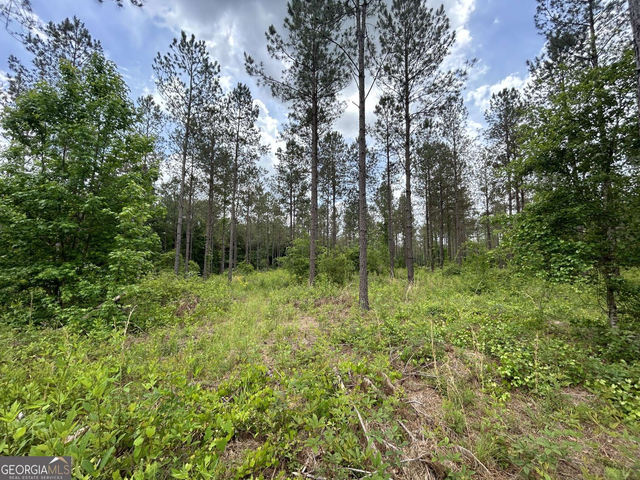 Dexter, GA 31019,0 Springhaven RD #LOT 16