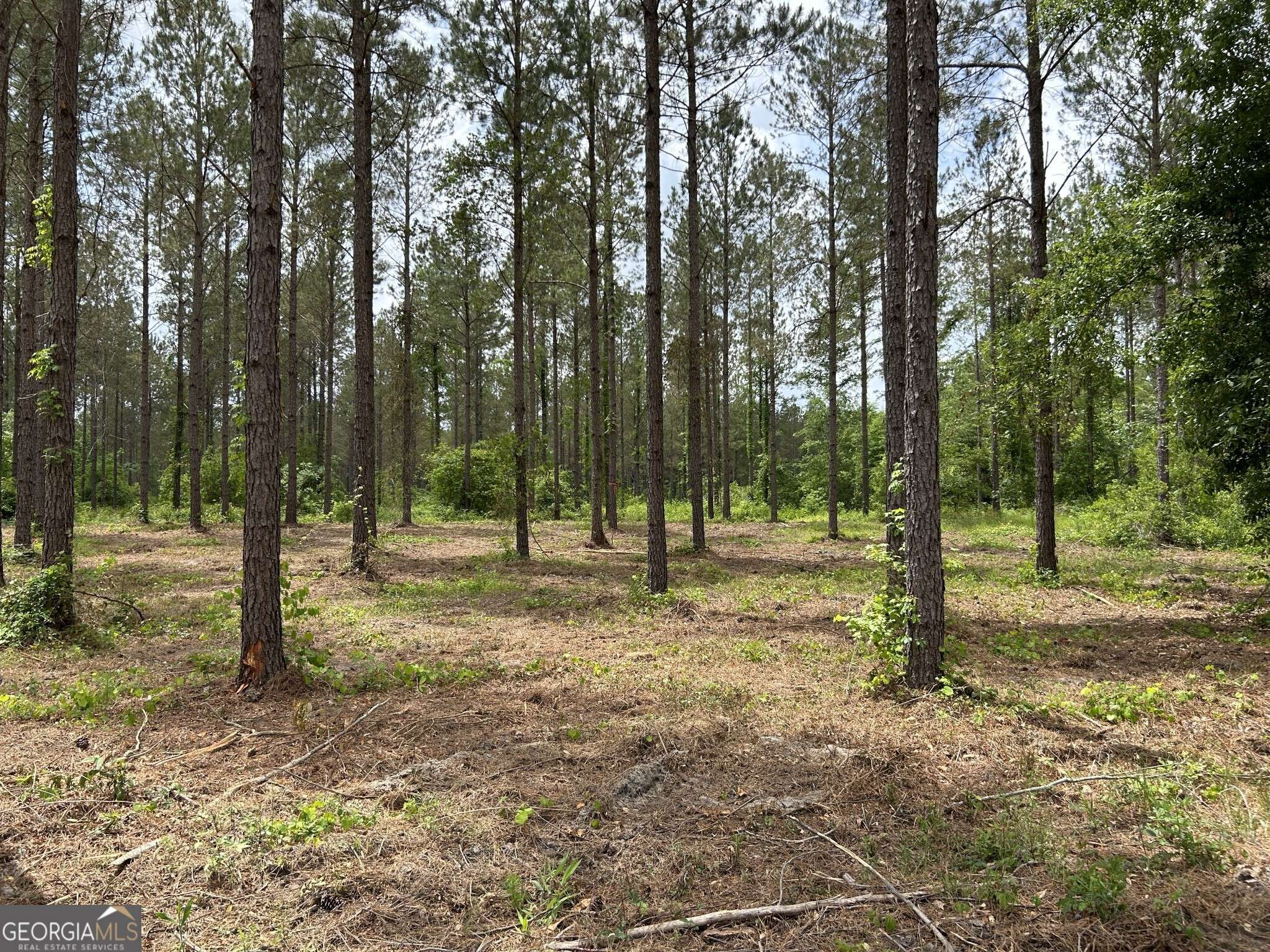 Dexter, GA 31019,0 Springhaven RD #LOT 16