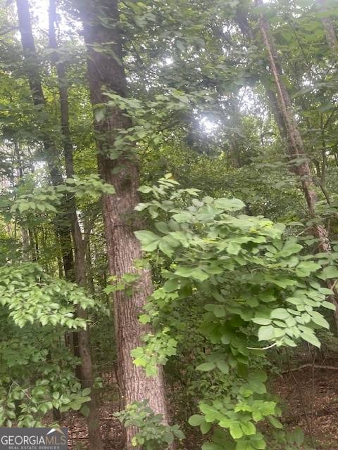 Atlanta, GA 30331,0 Butner Roads
