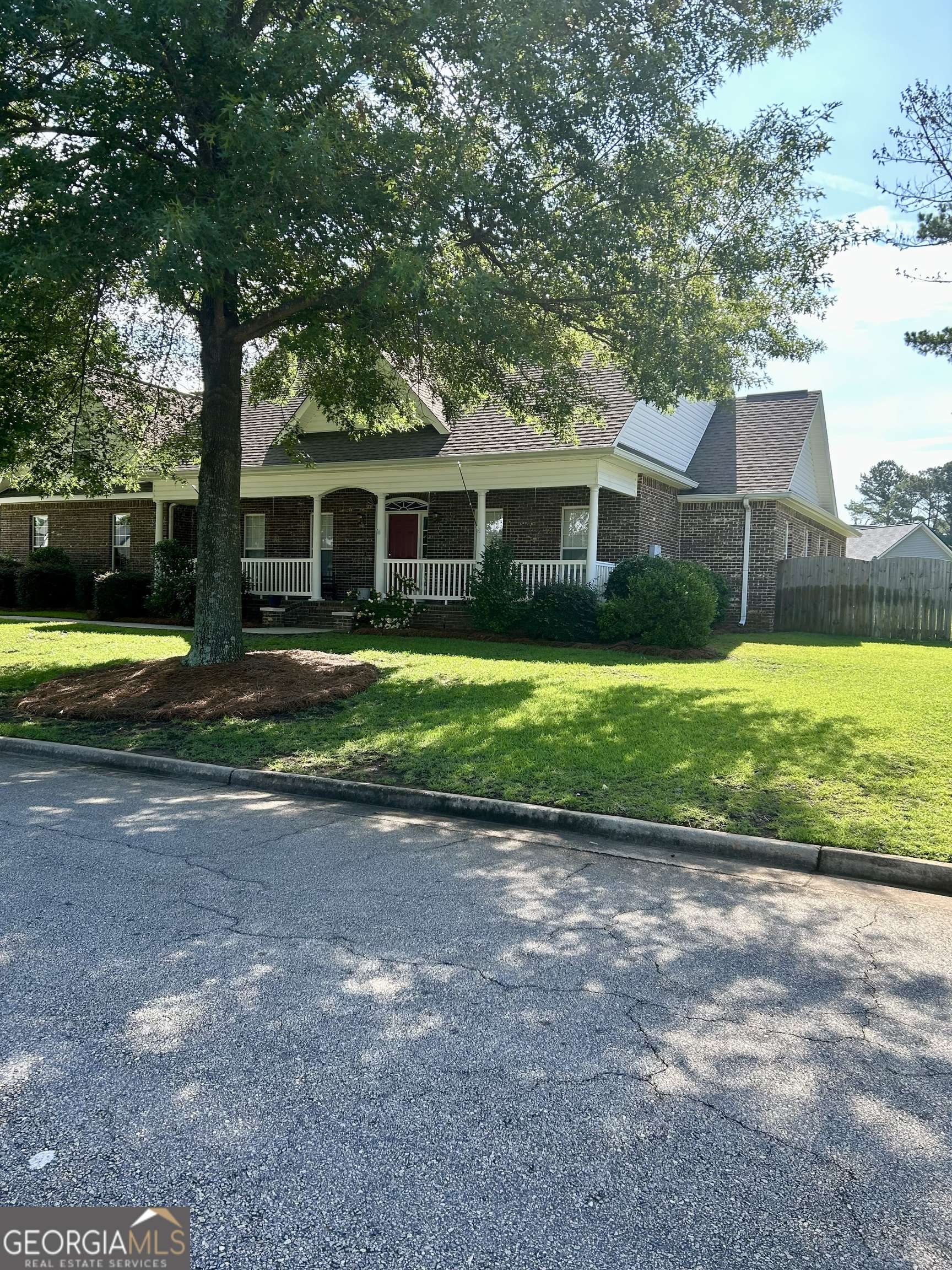 Warner Robins, GA 31088,100 Chicory