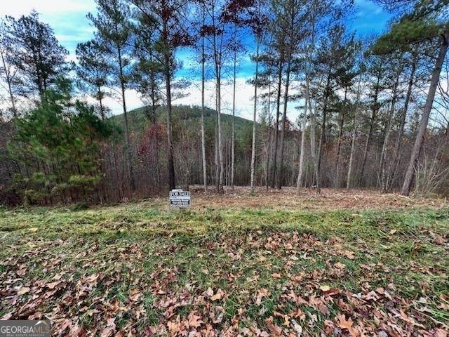 Blairsville, GA 30512,0 Ridge Peak View #LOT 62