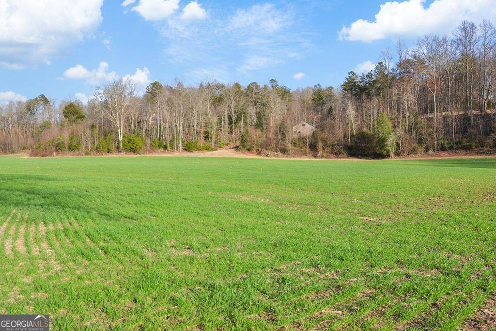 Ellijay, GA 30536,8.03 AC E New Hope