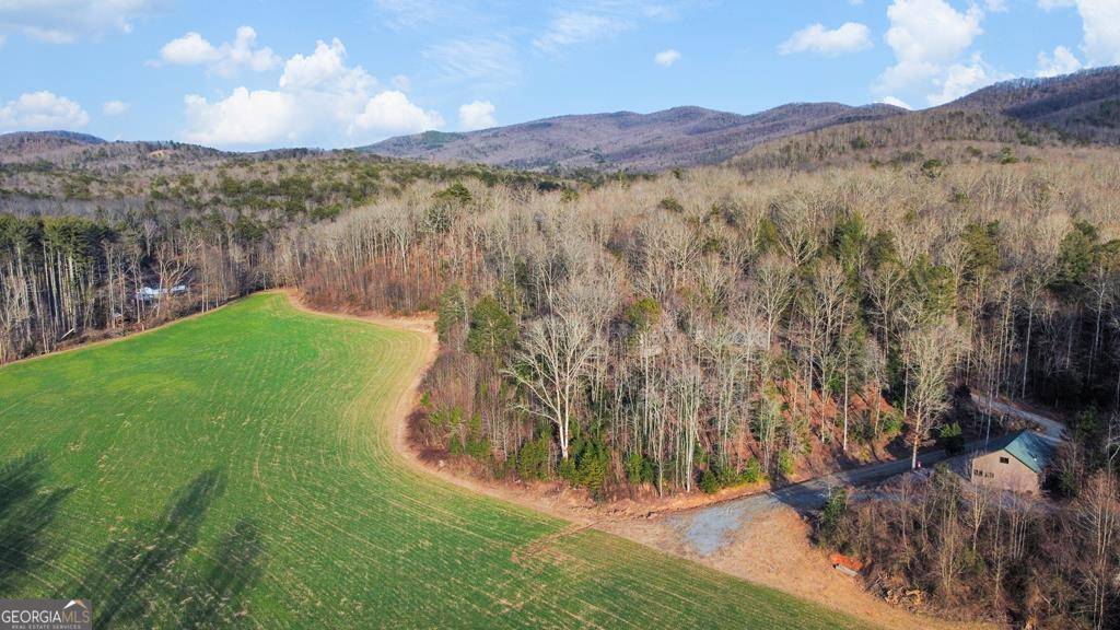 Ellijay, GA 30536,8.03 AC E New Hope