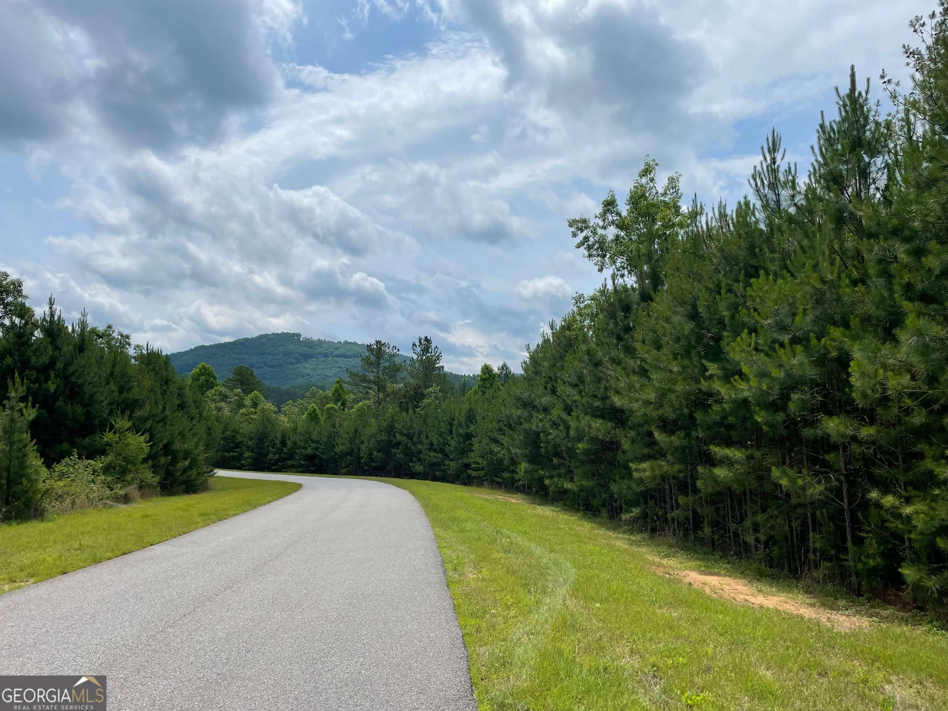 Blairsville, GA 30512,LOT 41 NORTHSHORE