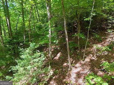 Hiawassee, GA 30546,LOT 12 Hightower