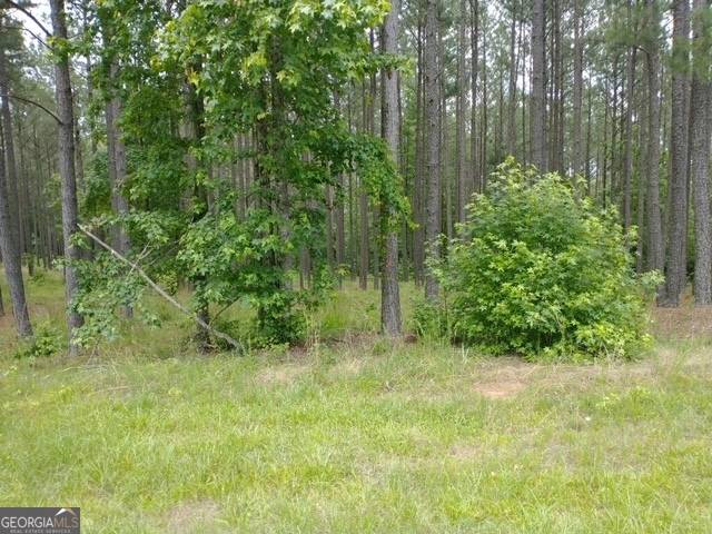 Lincolnton, GA 30817,1088 Shelter Cove RD
