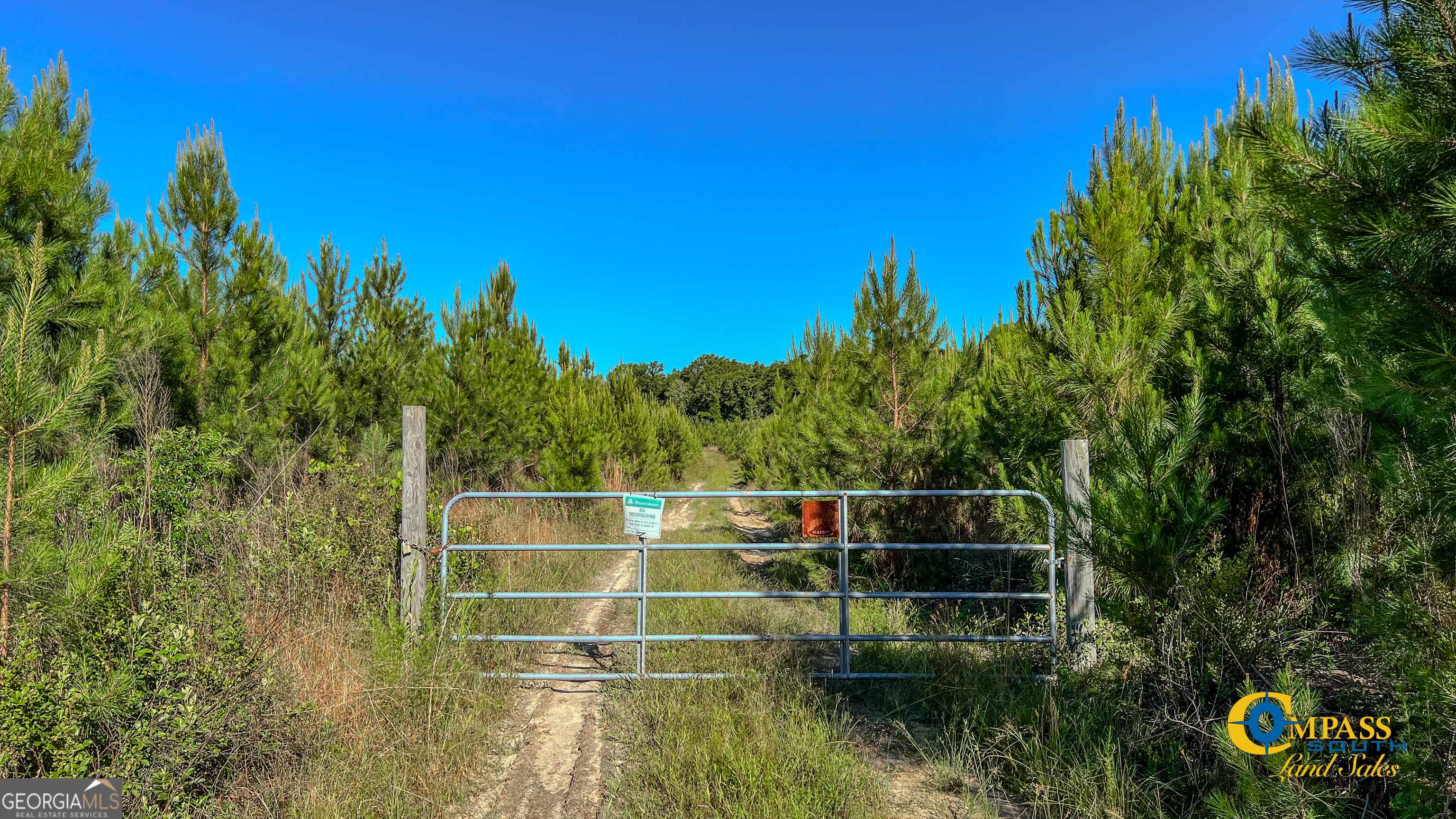 Ideal, GA 31041,0 Marvis Chapman RD