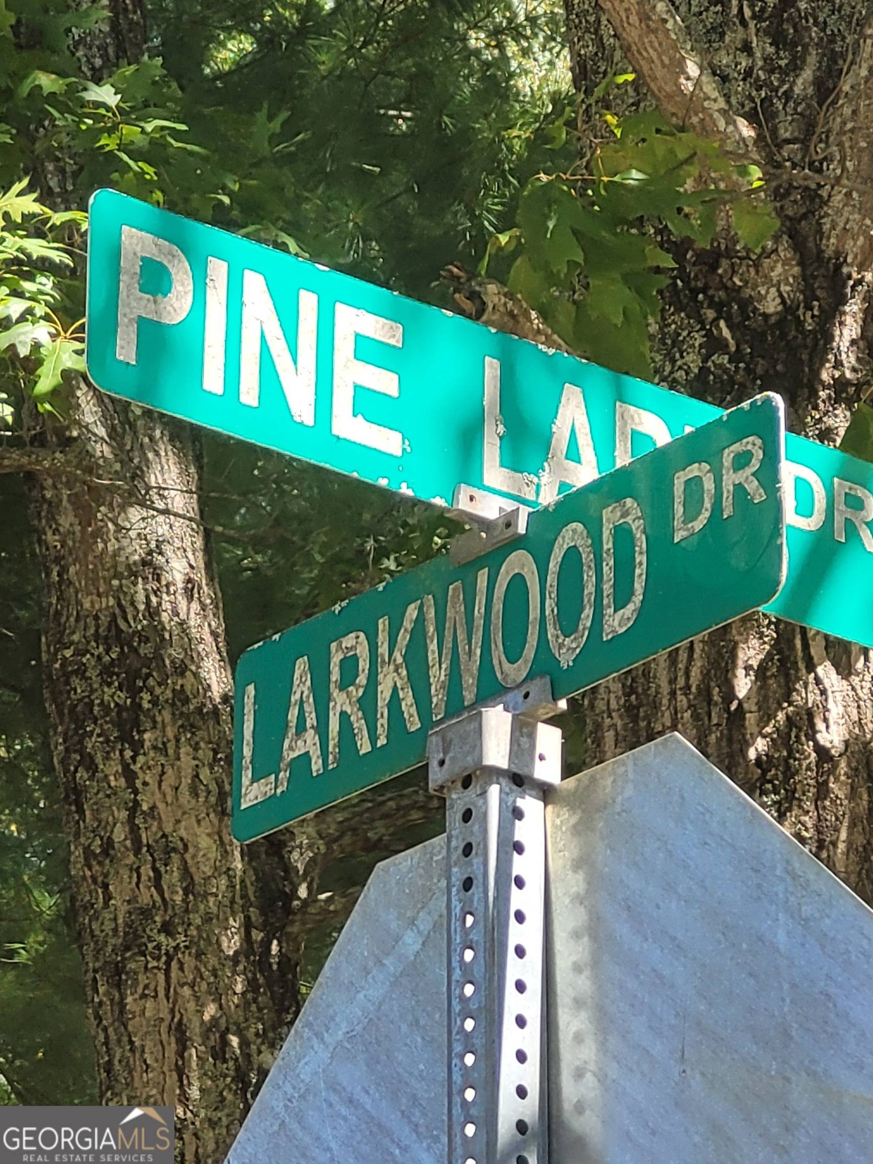 Canton, GA 30114,1480 Pine Lark