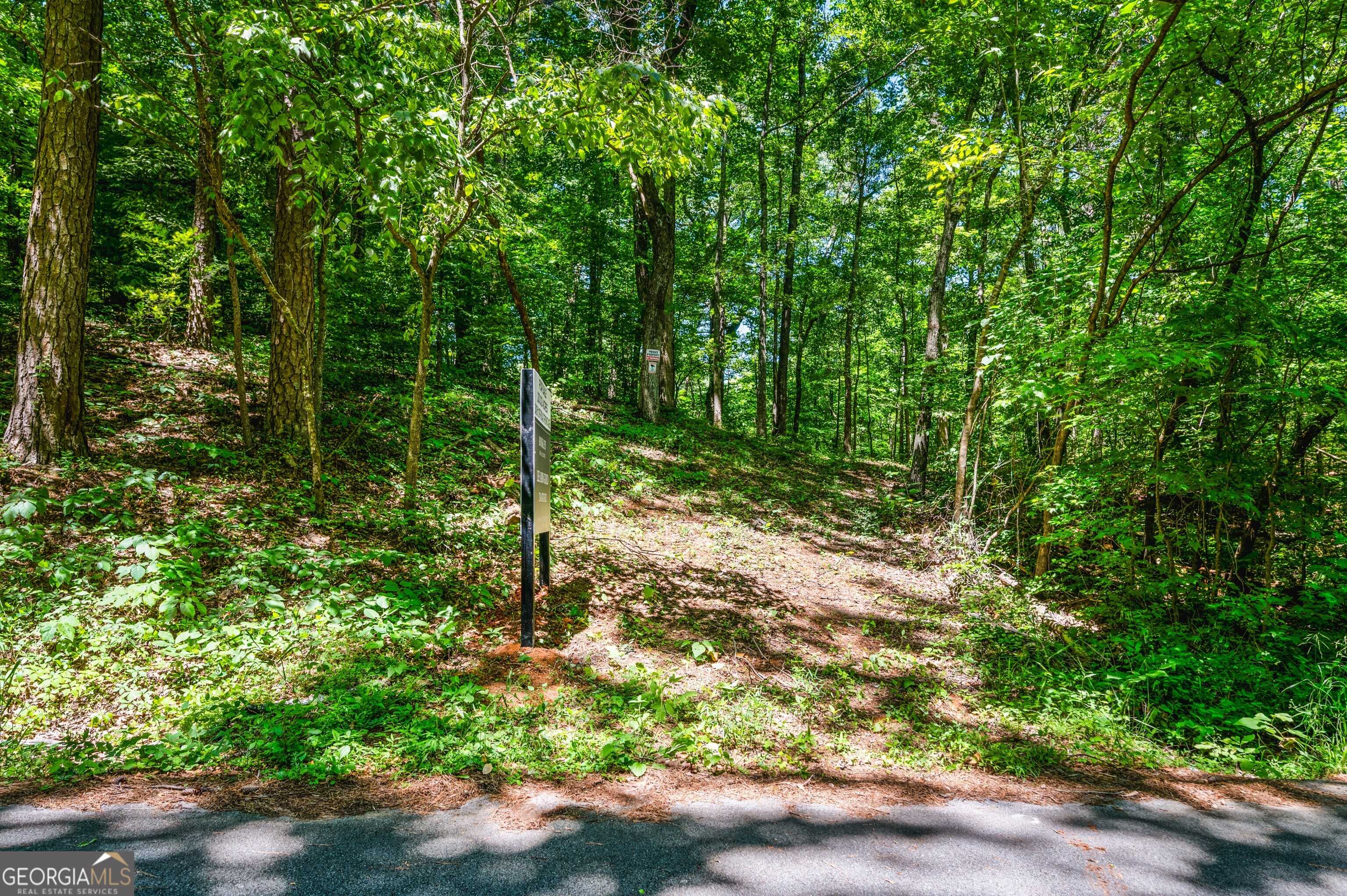 Dallas, GA 30157,0 Rock Springs PASS