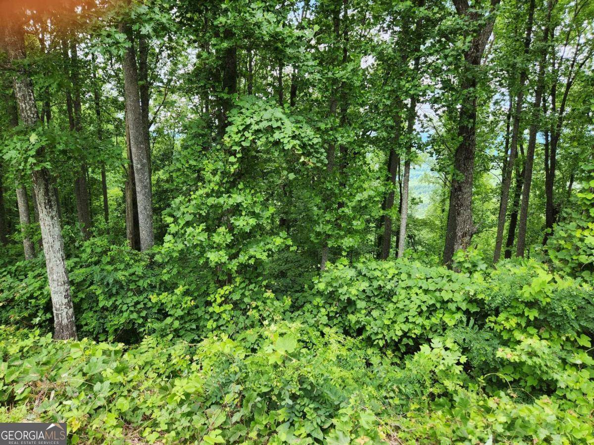 Young Harris, GA 30582,LOT 18 Rocky Knob