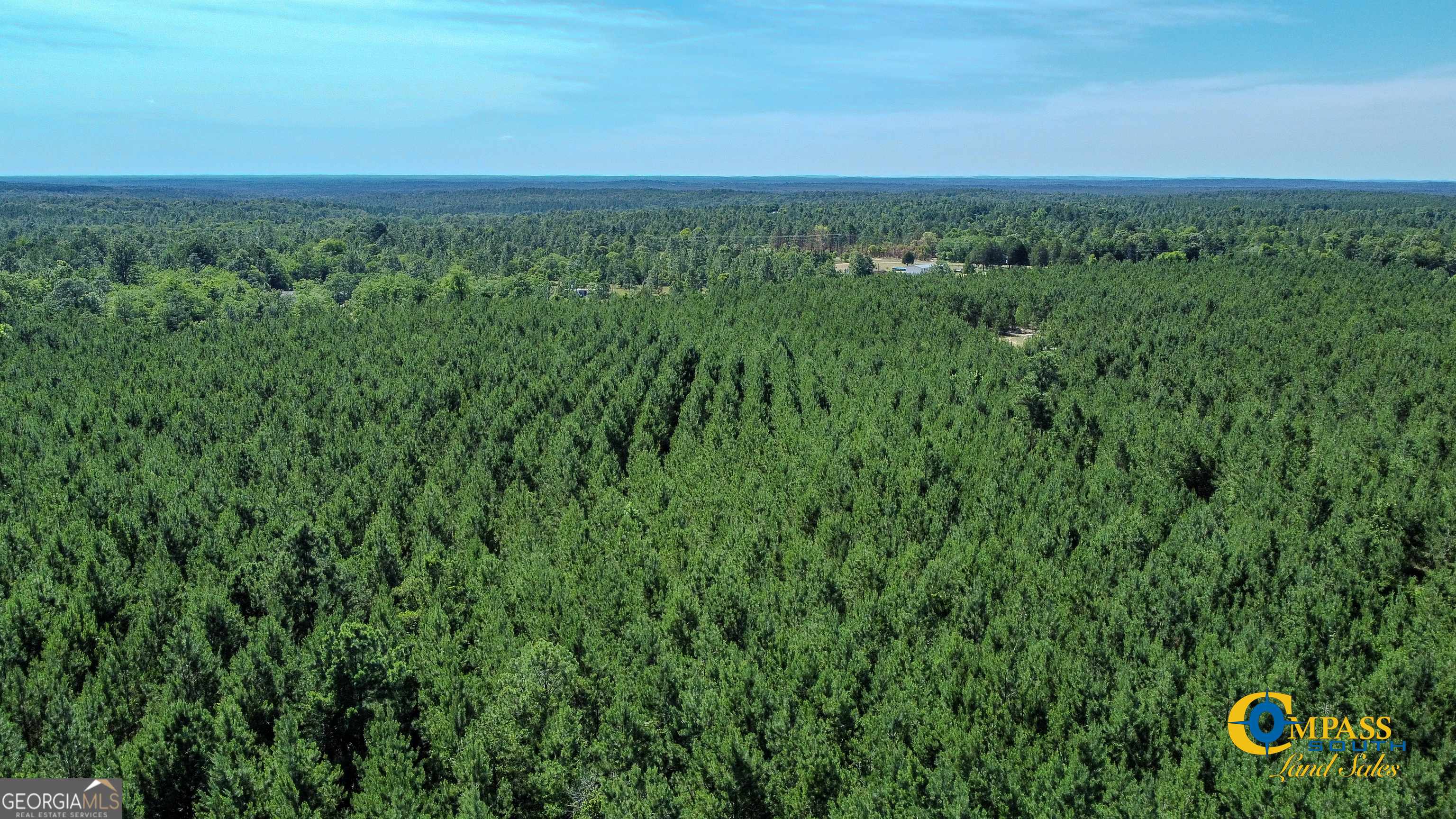 Mauk, GA 31058,0 Montgomery RD