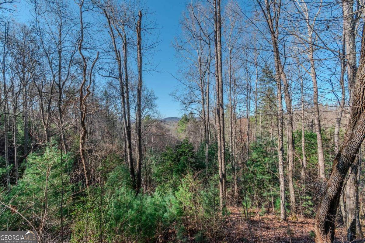 Mineral Bluff, GA 30559,LOT 43 Dusty Danno