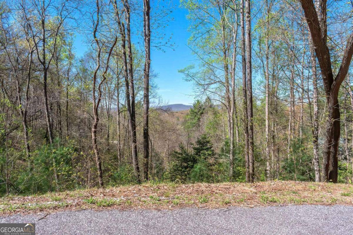 Mineral Bluff, GA 30559,LOT 43 Dusty Danno TRL